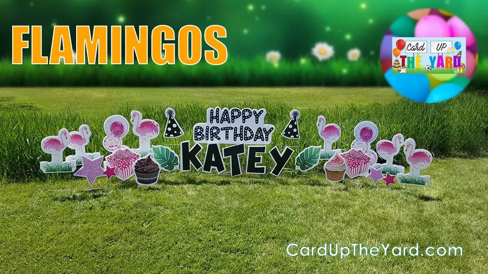 ﻿CUTY Site Image 239