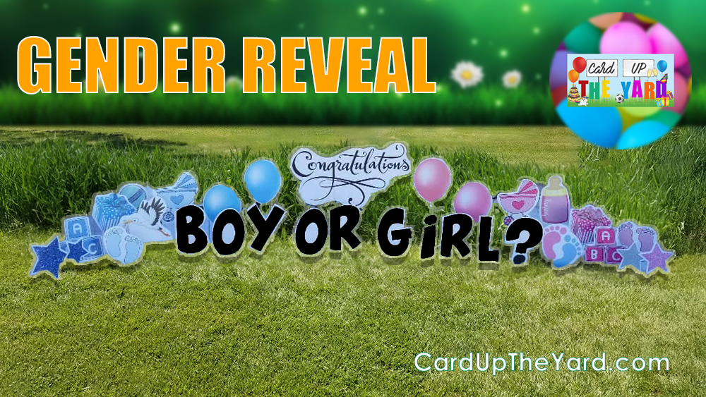 ﻿CUTY Site Image 242