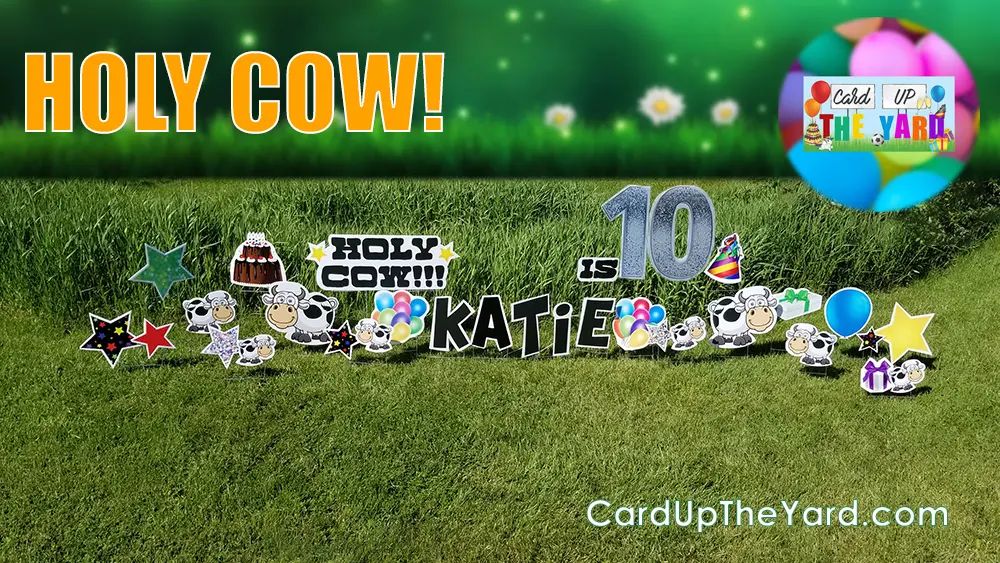 ﻿CUTY Site Image 248